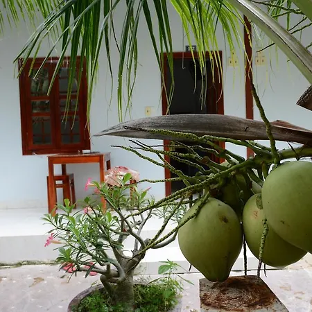 Diem Lien Guesthouse Mui Ne Exterior photo